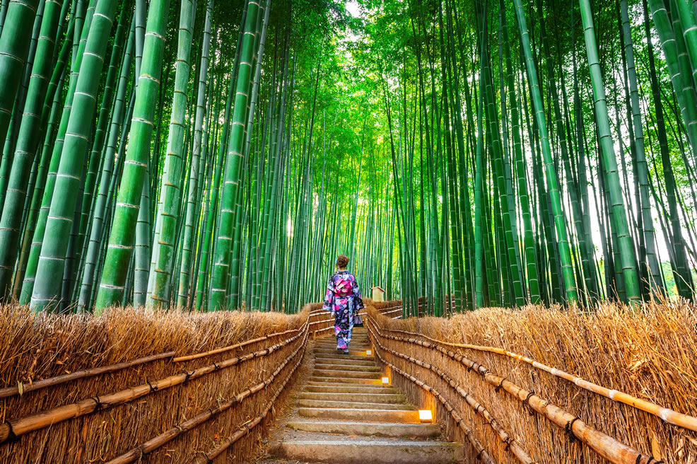 Kyoto con templi e vicoli storici